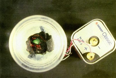 1995 Kruglanski Untitled