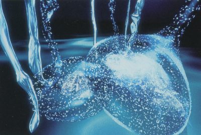 1994 Bister Oscillation