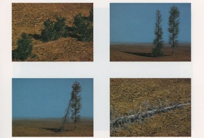 1994 Kitagawa-DeLeon Seasons