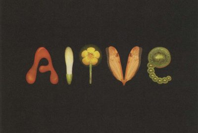 2006 Blackwell Alive