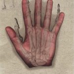 Observational Drawings - Hand