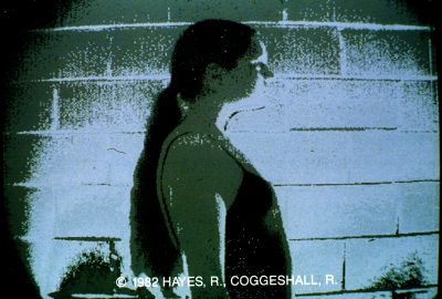 1983 Hayes Coggeshall Moving Along With XYAxis