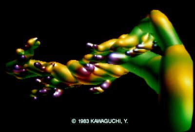 1983 Kawaguchi Growth