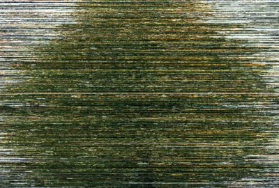 2012 Nam Woven Milieu