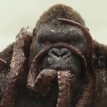 ILM VFX – Kong: Skull Island