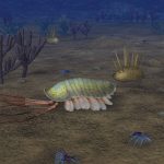 The Cambrian Burgess Shale Creatures: Early Evolution of Animals