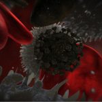 House of Numbers: Animation of the Replication of HIV