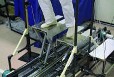 2000 Etech Iwata: Gait Master