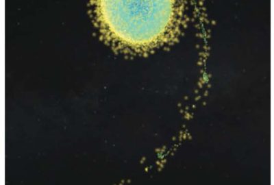 2019 Poster 69 Shih_Interactive Cinematic Scientific Visualization