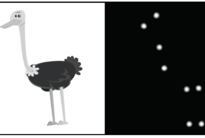 2019 Poster 70 Phogat_Skinning Vector Graphics