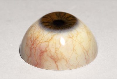 2019 Poster 72 Robinson_Voxel Printing