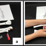 Interactive Teaching Aids Design for Essentials of Anatomy  and Physiology–Using Bones and Muscles as Example