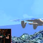 Swimming Across the Pacific: A Virtual Swimming Interface