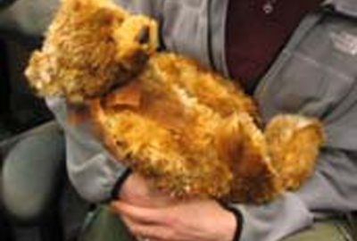 2006 ETech Stiehl: The Huggable: A Therapeutic Robotic Companion for Relational, Affective Touch
