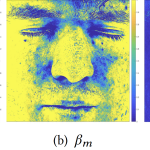 Practical Measurement and Modeling of Spectral Skin Reflectance