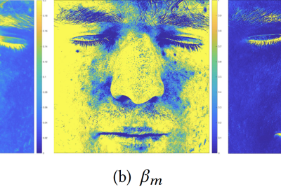 2019 Poster 47 Gitlina_Practical Measurement and Modeling of Spectral Skin
