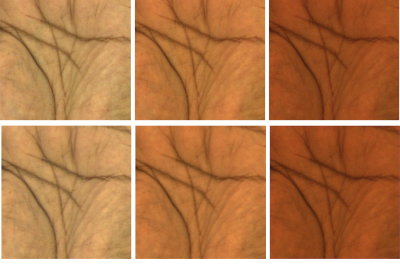 2019 Poster 47 Gitlina_Practical Measurement and Modeling of Spectral Skin