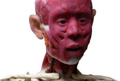 2008 ETech Kwon: Animatronics for control of countenance muscles in face using Moving-Units
