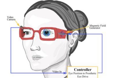 2010 ETech Bassett: A Fluid-Suspension, Electromagnetically Driven Eye with Video Capability for Animatronic Applications