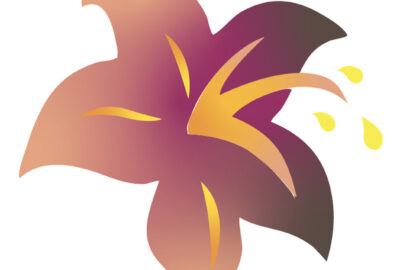 2018 Posters: Batra_General Primitives for Smooth Coloring of Vector Graphics