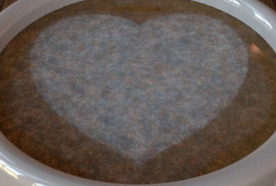 2018 Posters: Nakamoto_Which BSSRDF model is better for Heterogeneous Materials?