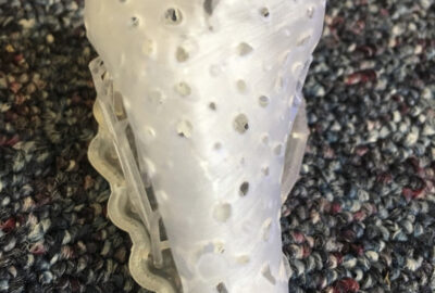 2018 Posters: QI_From Visible to Printable: Thin Surface with Implicit Interior Structures