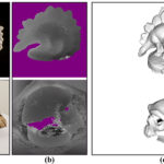 Towards a Stochastic Depth maps Estimation for Textureless and Quite Specular Surfaces