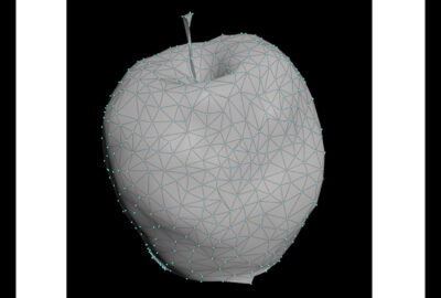 2018 Posters: Cirdei_Withering Fruits: Vegetable Matter Decay and Fungus Growth