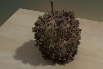 2018 Posters: Cirdei_Withering Fruits: Vegetable Matter Decay and Fungus Growth