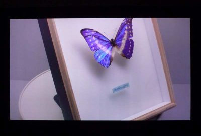 2011 ETech Tomizawa: Device-Independent Imaging System for High-Fidelity Colors