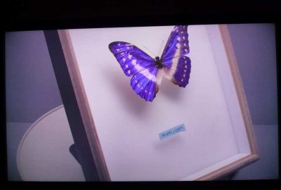 2011 ETech Tomizawa: Device-Independent Imaging System for High-Fidelity Colors