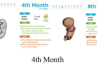 2011 ETech Kosaka: “Mommy Tummy” A pregnancy experience system simulating fetal movement