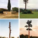 Around the Antenna Tree: The Politics of Infrastructural Visibility