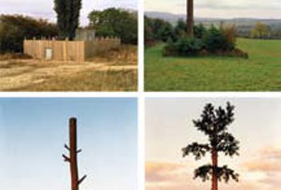 2007 Art Papers: Parks_Around the Antenna Tree: The Politics of Infrastructural Visibility