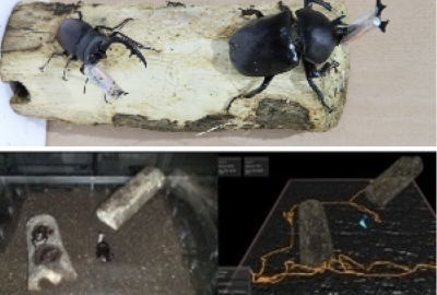 2014 ETech 12 Huang_IM3D 03