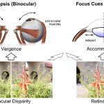 Computational Focus-Tunable Near-eye Displays