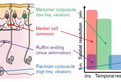 2016 ETech Yem: FinGAR: Combination of Electrical and Mechanical Stimulation for High-Fidelity Tactile Presentation