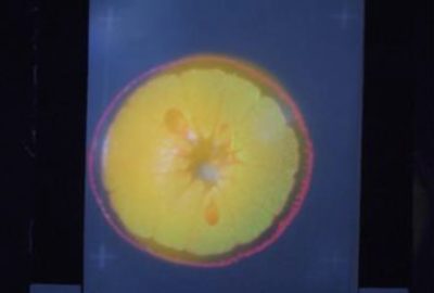 2016 ETech Furuyama: X-SectionScope: Cross-Section Projection in Light Field Clone Image