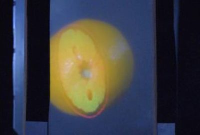 2016 ETech Furuyama: X-SectionScope: Cross-Section Projection in Light Field Clone Image