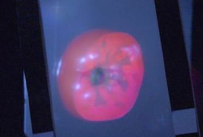 2016 ETech Furuyama: X-SectionScope: Cross-Section Projection in Light Field Clone Image