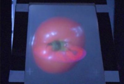 2016 ETech Furuyama: X-SectionScope: Cross-Section Projection in Light Field Clone Image