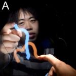 HaptoCloneAR: Mutual Haptic-Optic Interactive System with 2D Image Superimpose