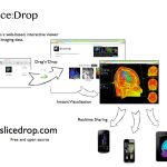 Slice: Drop - Collaborative Medical Imaging in the Browser
