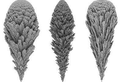 2014 Studio: Lomas_Cellular Forms: an Artistic Exploration of Morphogenesis