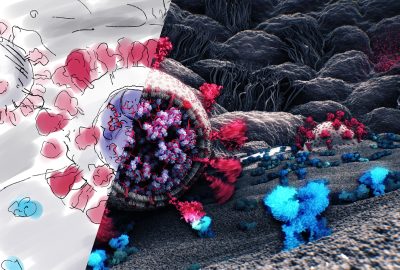 2021 Animations: What does a virus actually look like?