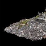 Photogrammetry for a Virtual Reality Nature Scene