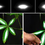 Dynamic Projection Mapping for Thin Plants using a Robust Tracking Method against Occlusion