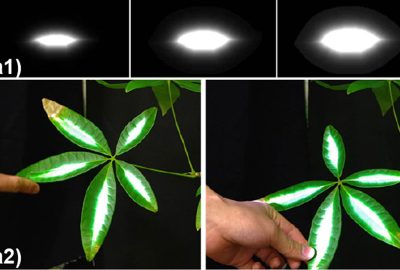 2021 Studio: Dynamic Projection Mapping for Thin Plantsusing a Robust Tracking Method against Occlusion
