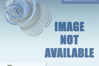 2013 SIGGRAPH Image Not Available
