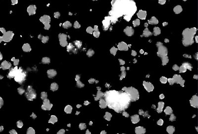 2021 Talks: Wang_Cooking Southeast Asia-inspired Soup in Animated film